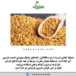 تخم شنبلیله