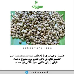 تخم گیشنیز