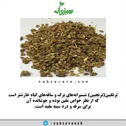 ترنگبین(ترنجبین)