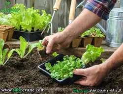 خاک سبزی‌کاری خانگي بسته 4 ليتري