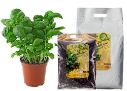 خاک سبزی‌کاری خانگي بسته 4 ليتري