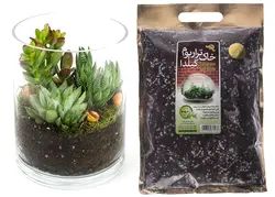 خاک تراریوم ارگانیک 2 لیتری