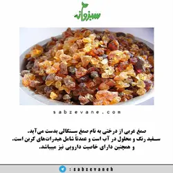 گیاه دارویی صمغ عربی