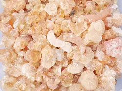 گیاه دارویی صمغ عربی