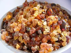 گیاه دارویی صمغ عربی