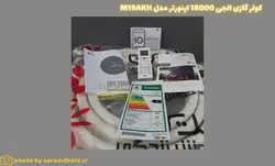 کولر گازی الجی 18000 اینورتر مدل M19AKH