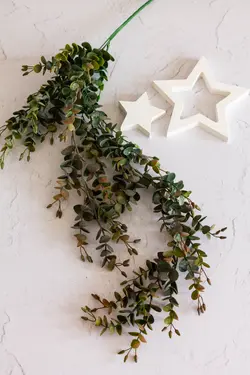 آویز اکالیپتوس کد 3