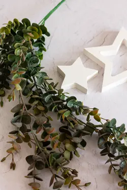 آویز اکالیپتوس کد 3