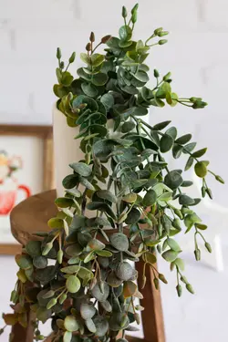 آویز اکالیپتوس کد 3