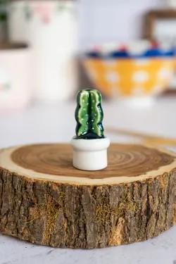 کاکتوس دکوری کد 2