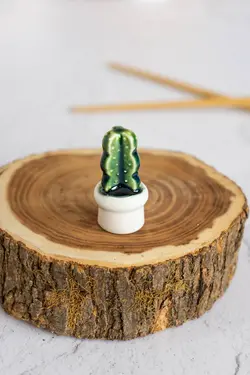 کاکتوس دکوری کد 2