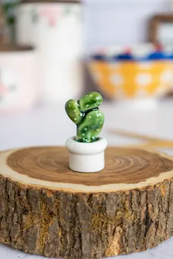 کاکتوس دکوری کد 4