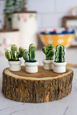 کاکتوس دکوری کد 4