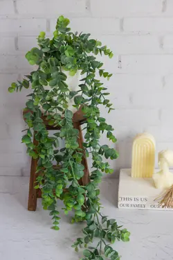 آویز اکالیپتوس کد 5