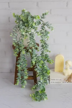 آویز اکالیپتوس کد 4