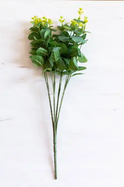 دسته گل بوته ای اکالیپتوس