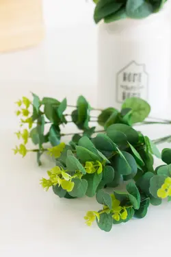 دسته گل بوته ای اکالیپتوس