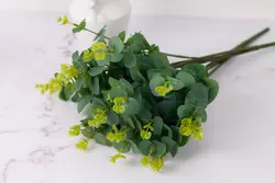 دسته گل بوته ای اکالیپتوس