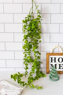 آویز اکالیپتوس