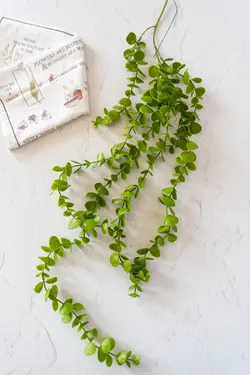 آویز اکالیپتوس