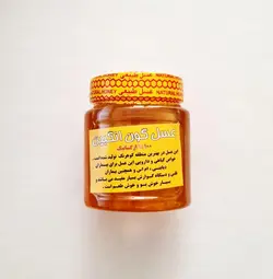 عسل گون انگبین اعلا