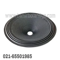 صفحه میدرنج 12 اینچ پرده دیافراگم میدرنج فول رنج 12 اینچ midrange اکو H7