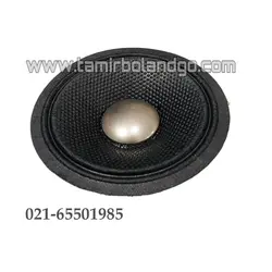 ریکون کیت تویتر مید 6965 پایونیر با کیفیت بالا دیافراگم تویتر 6962