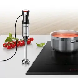 گوشت کوب برقی بوش مدل BOSCH MS62M6110