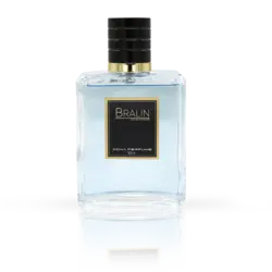 ادوپرفیوم دنا استیکر مدل BRALIN