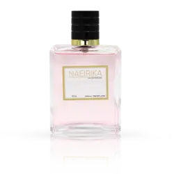 ادوپرفیوم دنا استیکر مدل NAEIRIKA