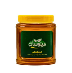 عسل مرکبات نیم کیلویی