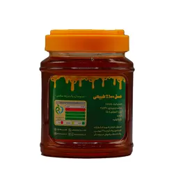 عسل طبیعی گیشنیز