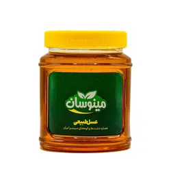 عسل طبیعی گزانگبین