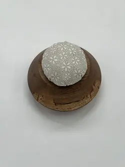 جاسوزنی