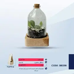 گلدان تراریوم - کادو 360