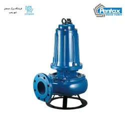 خرید پمپ لجن کش پنتاکس سری 4-DMT - فروشگاه اینترنتی شهر پمپ