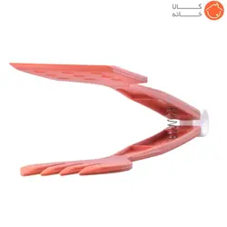 انبر آشپزی کد 5065