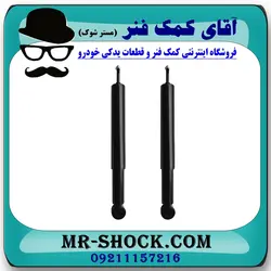 کمک فنر عقب چری تیگو 5 برند وارداتی ساخت چین (گازی)