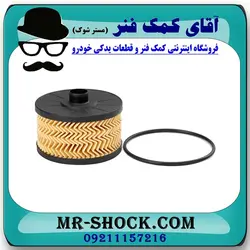 فیلتر روغن رنو کپچر برند اصلی جنیون پارتس با تضمین اصالت