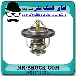 ترموستات میتسوبیشی ASX برند اصلی جنیون پارتس با تضمین اصالت