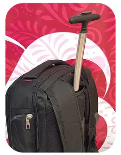 کد 1159 کوله پشتی چرخدار دانسون
