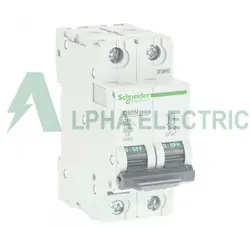 کلید مینیاتوری 2 پل 6 امپر اشنایدر - الفا الکتریک