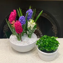 مجموعه سنبل ۵ عددی با سبزه نارنج