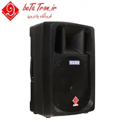 قیمت اکو همراه شارژی 12 اینچ حرفه ای بتاترون 112 | Betatron SW 112P - فروشگاه بتاترون