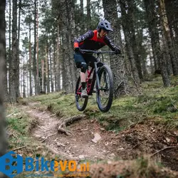 دوچرخه اندرو Trek Slash 8 2020