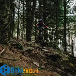 دوچرخه اندرو Trek Slash 8 2020