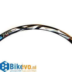 طوقه کوهستان جاینت Giant XC-2 Rim 28H TR
