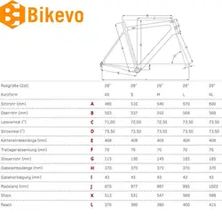 Focus CAYO ULTEGRA 54M دوچرخه جاده