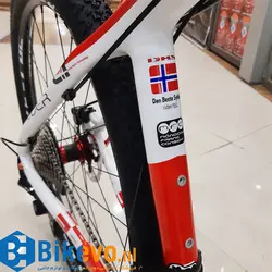 دوچرخه کراس کانتری DBS Intruder Team20S Carbon 29er Hardtail