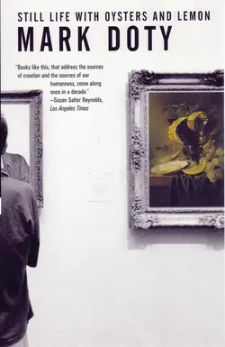 طبیعت بیجان با صدف‌ها و لیمو